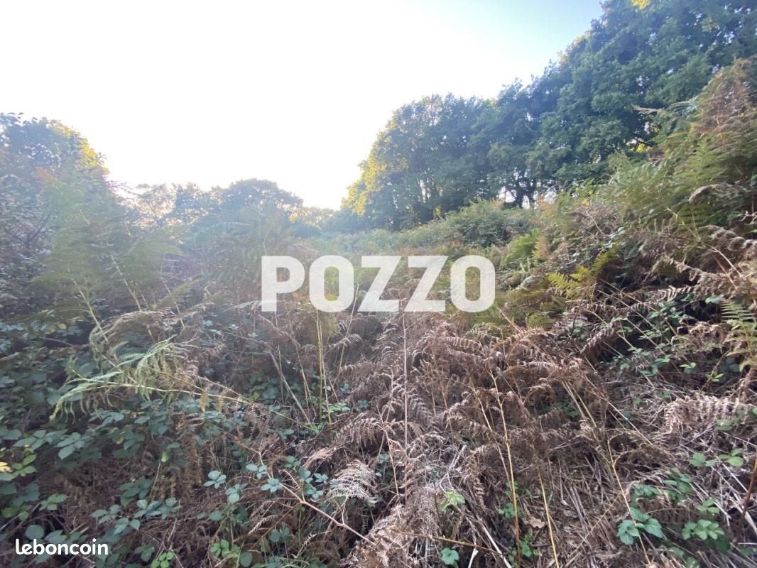 Terrain 2 600 m² Jullouville · 55 000 €