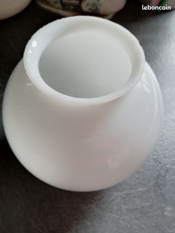 Globe opaline (image 1)