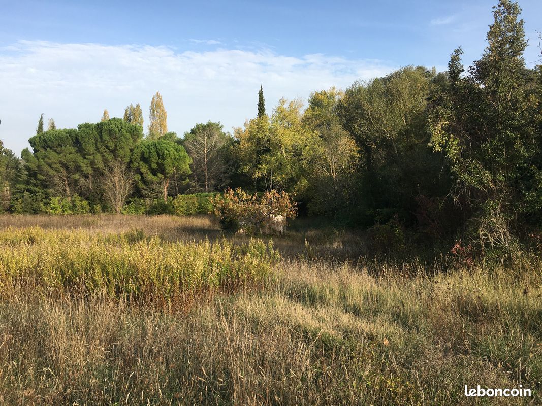 Vente terrain à Magrie (11300) · Zone à urbaniser, 6200 m2, avec puit, arbres fruitiers et étude des sols (G1 et G2) · 65 000