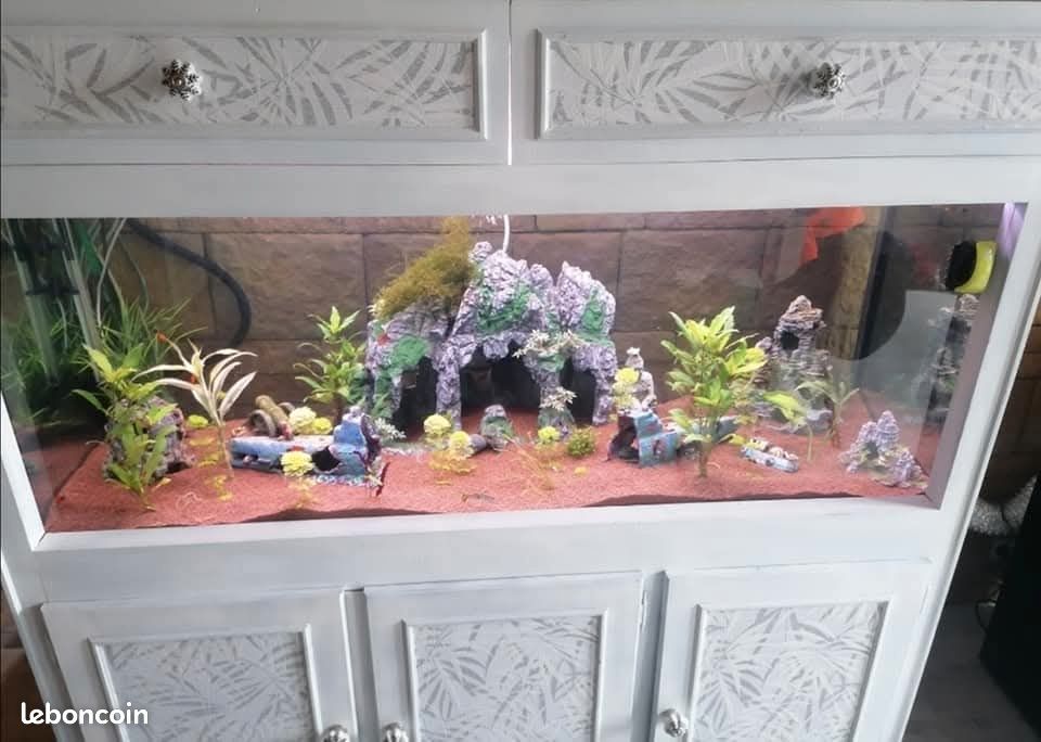 Aquarium et son meuble (image 1)
