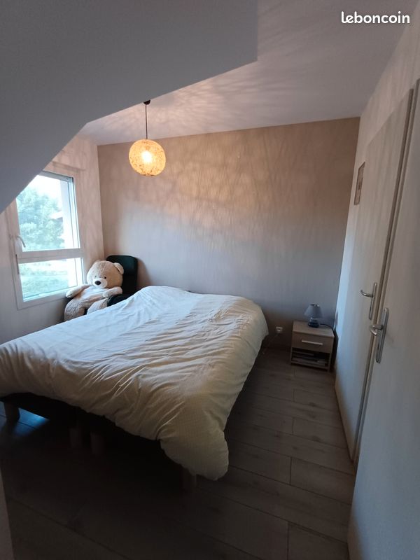 T3 en duplex de 58 m² avec jardin de 90m² et garage (image 8)