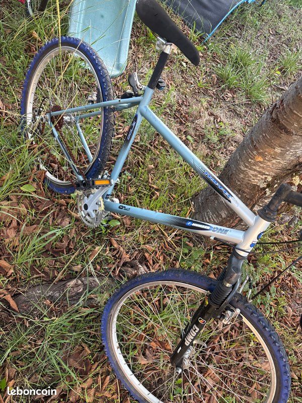 Vélo a l’état (image 1)