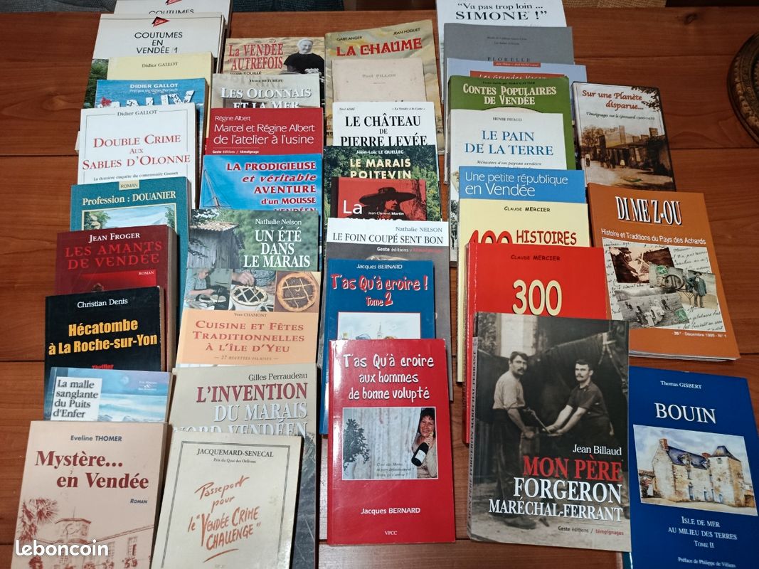 Lot de divers livres sur la vendee (image 1)