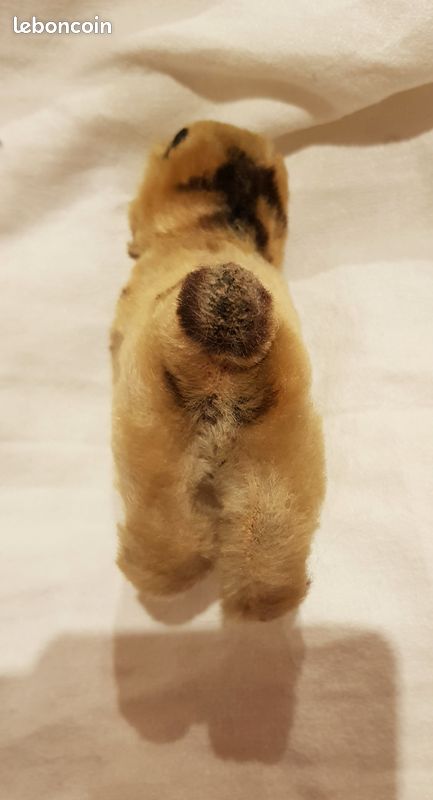 Rare peluche bulldog Steiff Bully miniature (image 5)