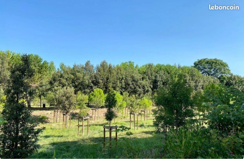 Appartement 2 pièces 49 m² · à Montpellier · 49 m² · 1 195 €/mois