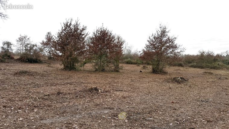 Terrain 2996 m² Caubeyres