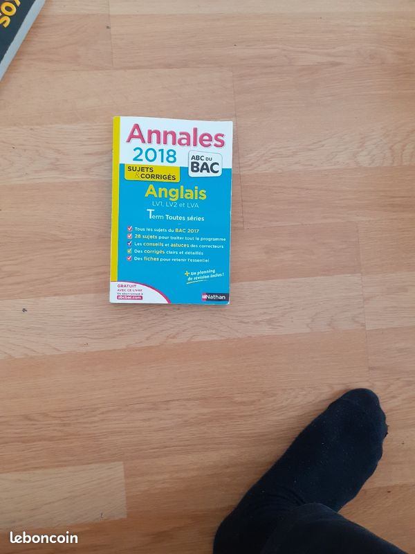 Annales (image 1)