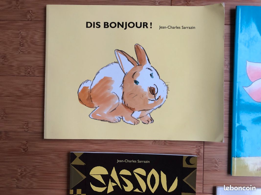 Jean-Charles Sarrazin : Livres de l’école des loisirs (image 2)