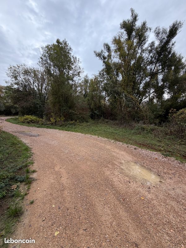 Terrain 22300 m2 - Bois - Chasse - Marne · à La Chaussée-sur-Marne · 25 000 €