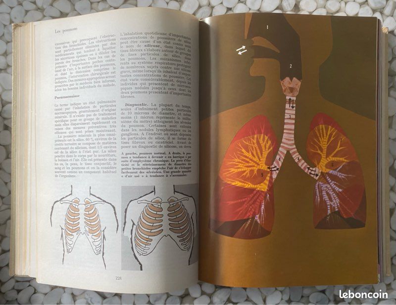 Guide Médical de la Famille, D.G Cooley, 1973 (image 5)