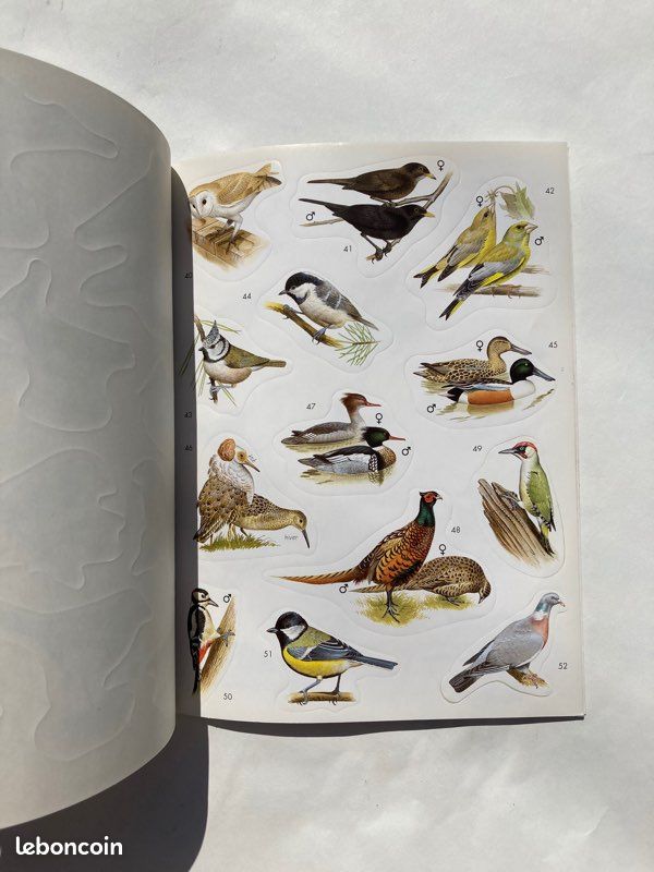 Livre « Autocollants Nature » - Oiseaux (image 9)
