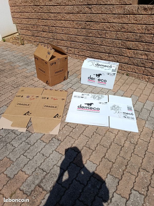 100 Cartons déménagements (image 1)