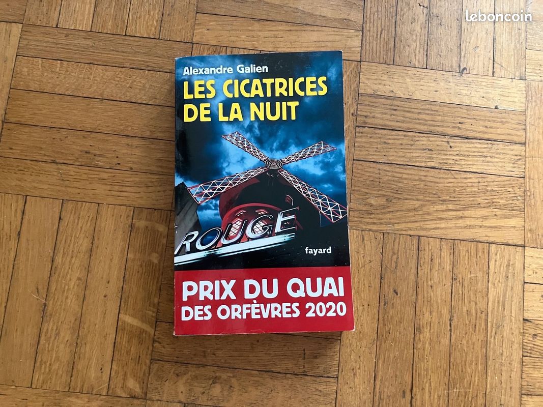 Les cicatrices de la nuit, de Alexandre Galien (image 1)