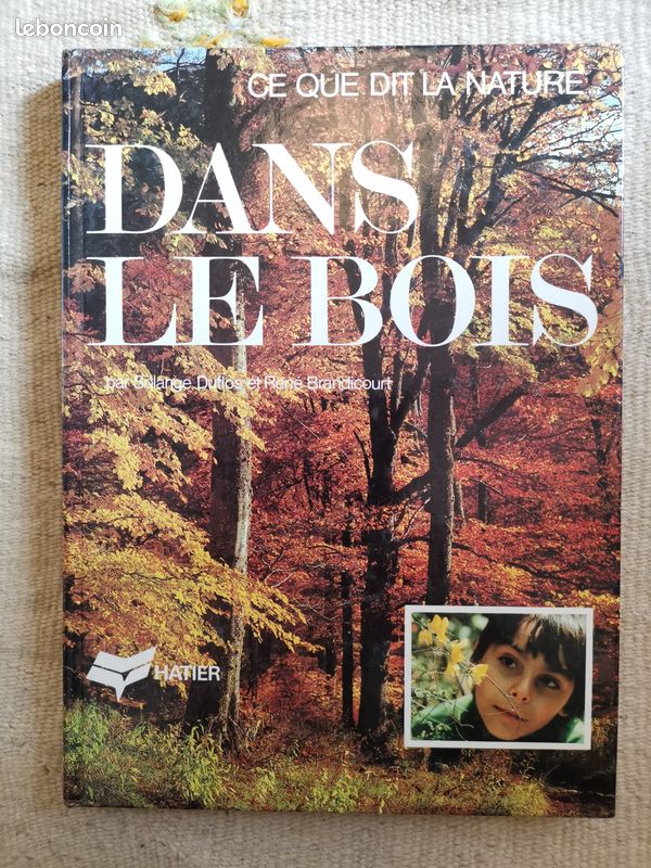 Ce que dit la nature... Dans le bois (image 1)