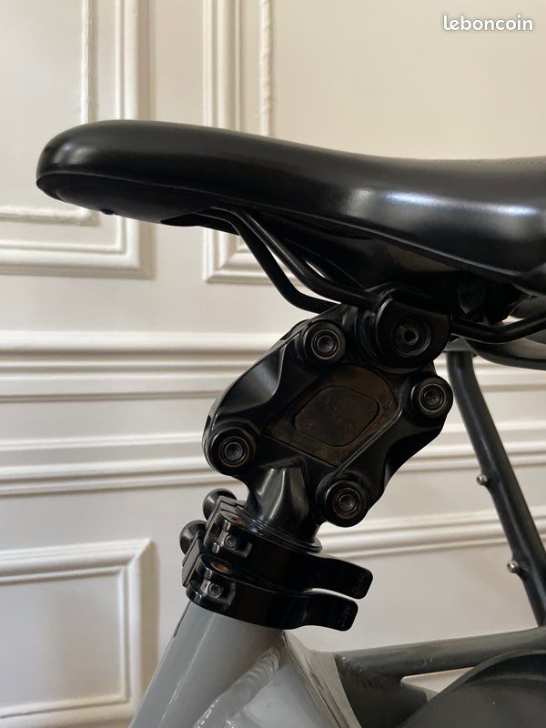 Vélo électrique Longtail - GSD tern– Très bien entretenu – Double batterie Bosch – Entièrement révisé avant la vente (image 5)