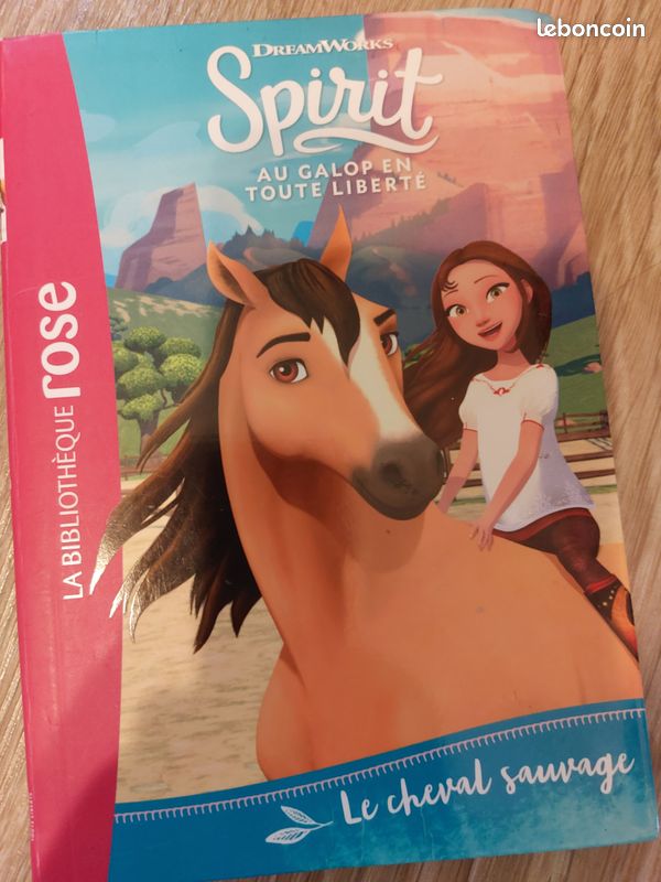 Spirituel au galop en toute liberté (image 2)