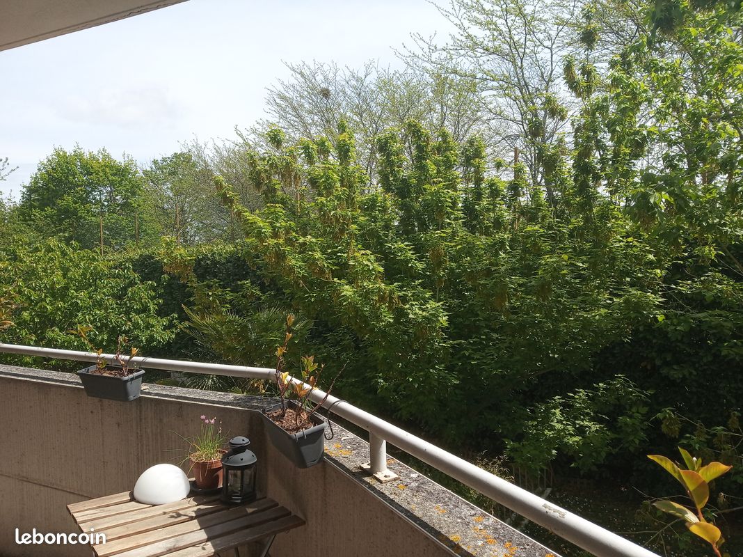 Appartement 2 pièces 33 m² · à Toulouse · 33 m² · 640 €/mois