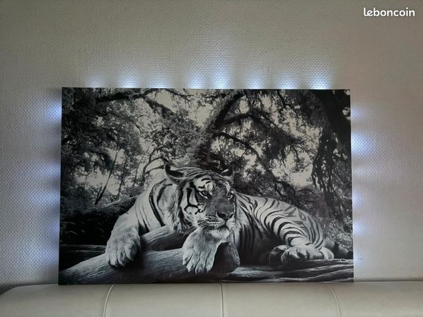 Tableau Toile Tigre Dans L'eau - Impression D'art 60x60 Cm, Tigre Blanc Sur Fond Noir
