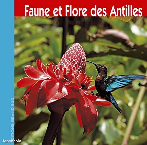 Faune et flore des Antilles (image 1)