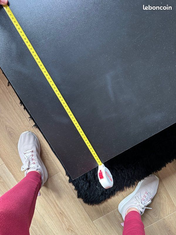 Table basse + tapis (image 5)