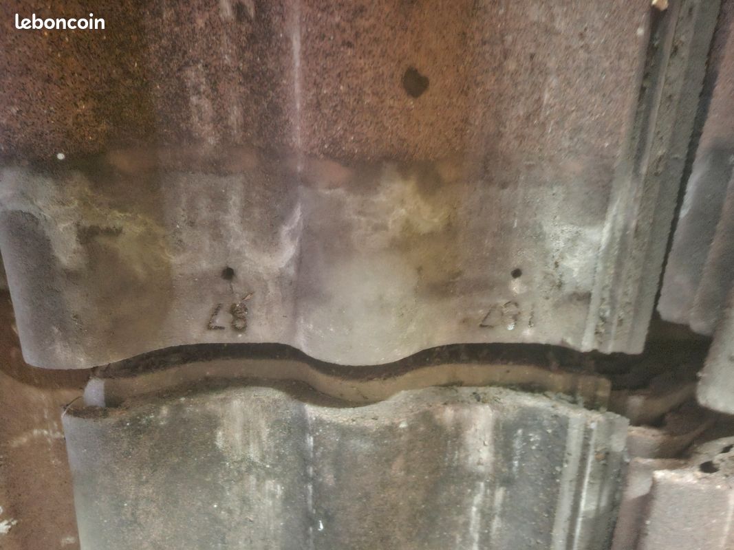 Tuile beton (image 2)