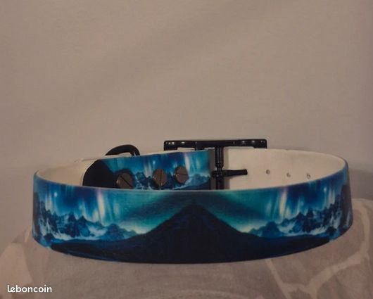 Collier de chien en biothane (image 1)