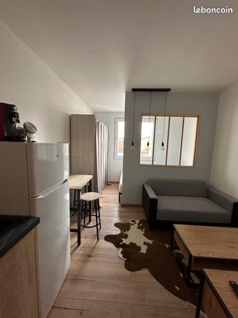 Appartement T1 Bis Rénové et meublé