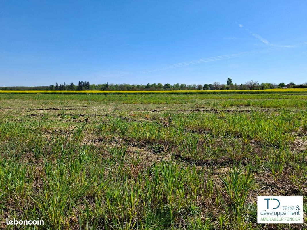 Terrain de 365 m² à HABSHEIM (HAUT-RHIN) · 104 025 €