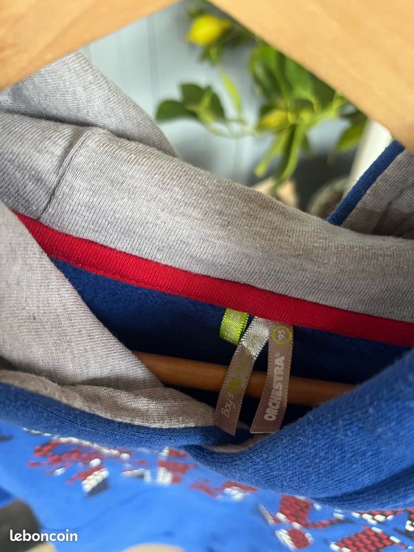 Sweat-shirt à capuche Orchestra (image 4)