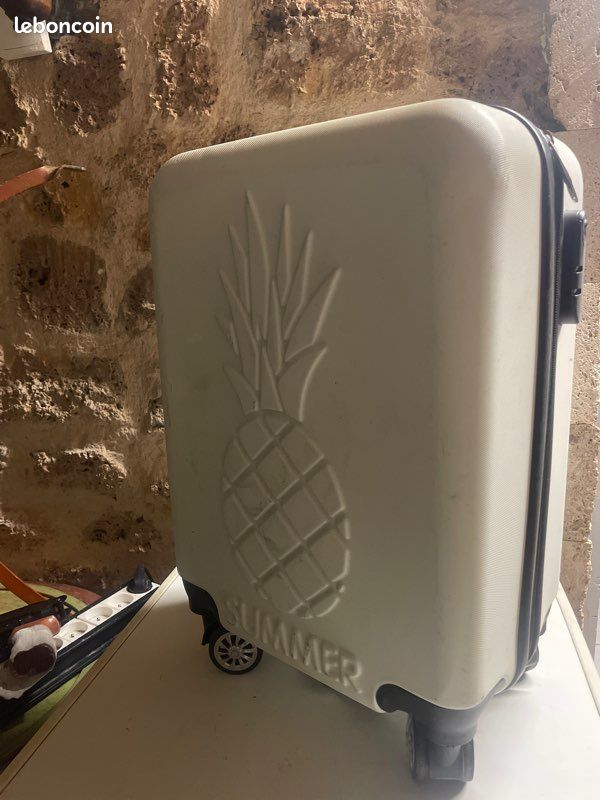 Petit valise (image 1)
