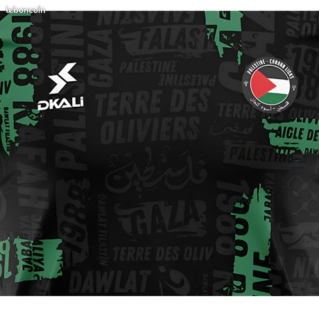 MAILLOT ALGERIE 2025 ROSE x PALESTINE - - Maillots à prix compétitifs