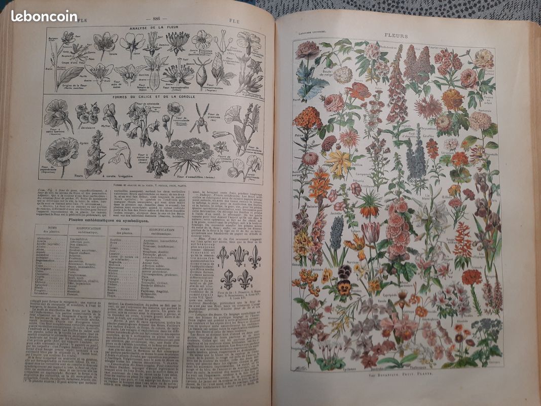Dictionnaire larousse universel 1922 en deux volumes (image 5)