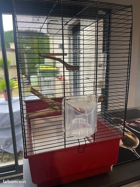 Cage (image 2)