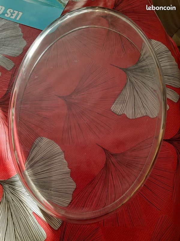 Plat pyrex (image 2)