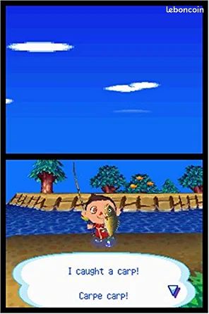 Animal crossing wild world DS (image 2)