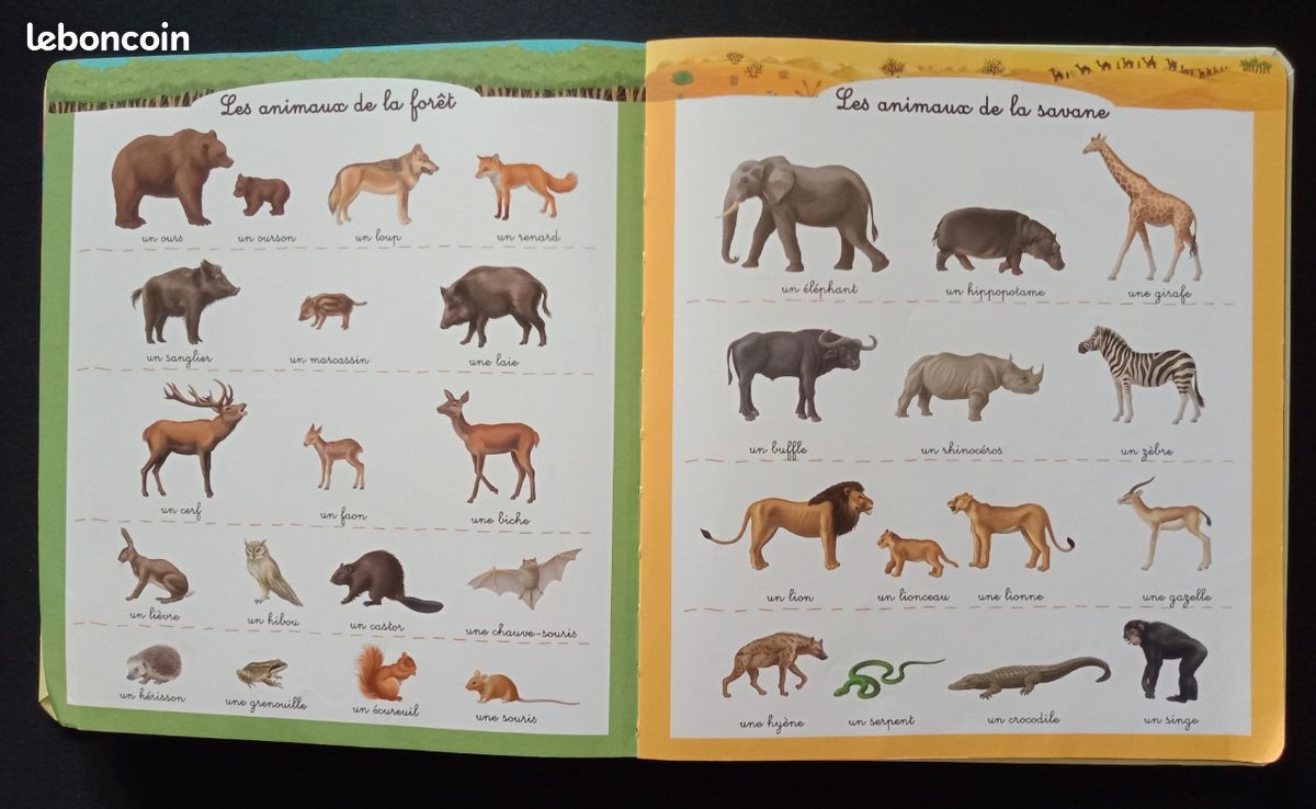 Livre : mon premier dictionnaire. Nathan (image 6)