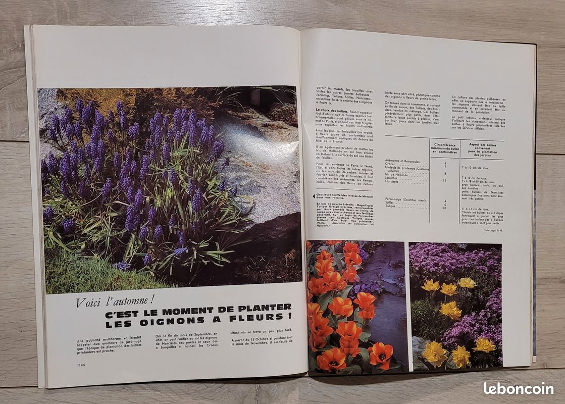 12 mon jardin et ma maison 1964 (image 9)