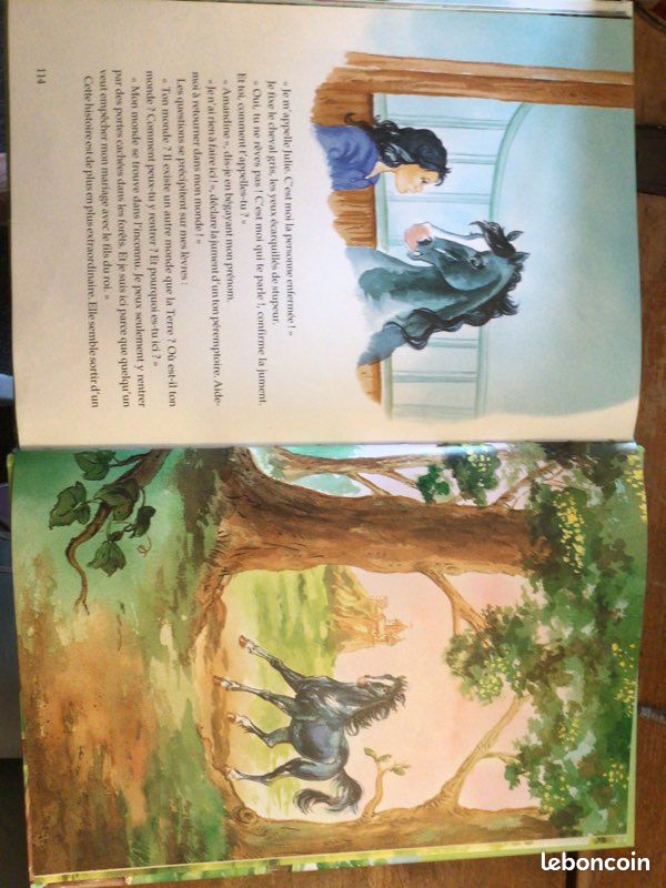 Livre les plus belles histoires de chevaux (image 3)
