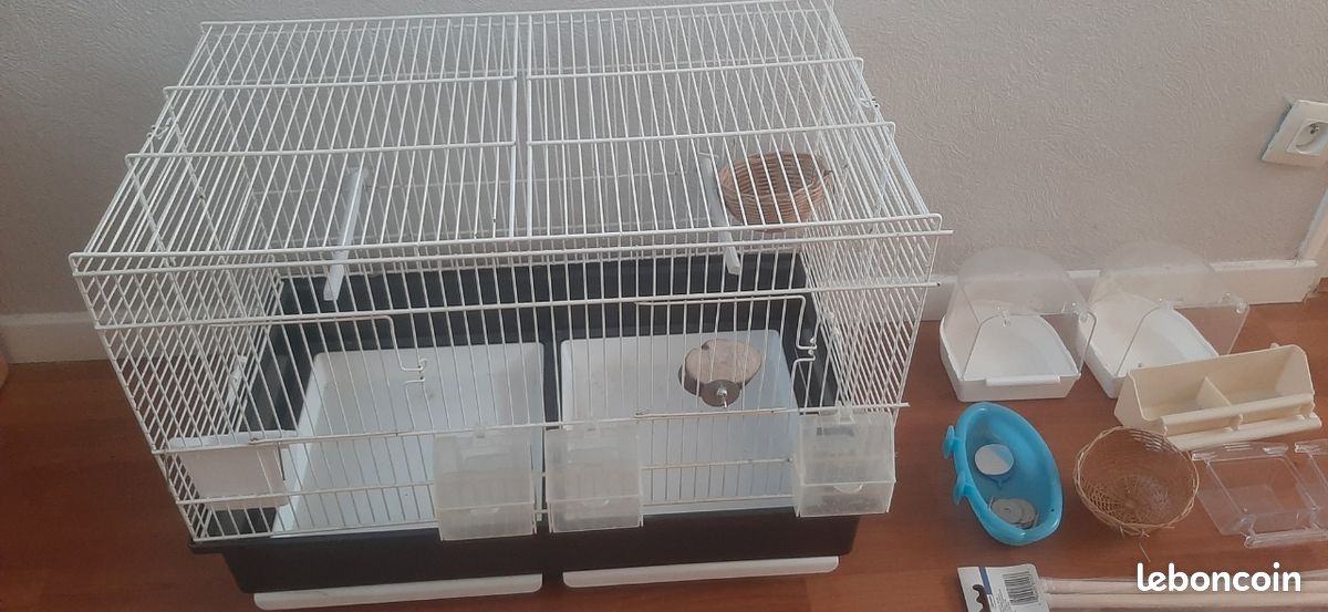 Cage oiseaux (image 2)