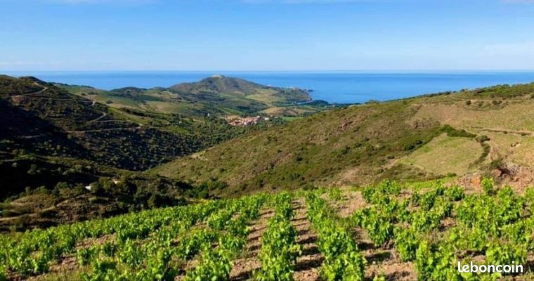 Terrain 48000 m² Port-Vendres