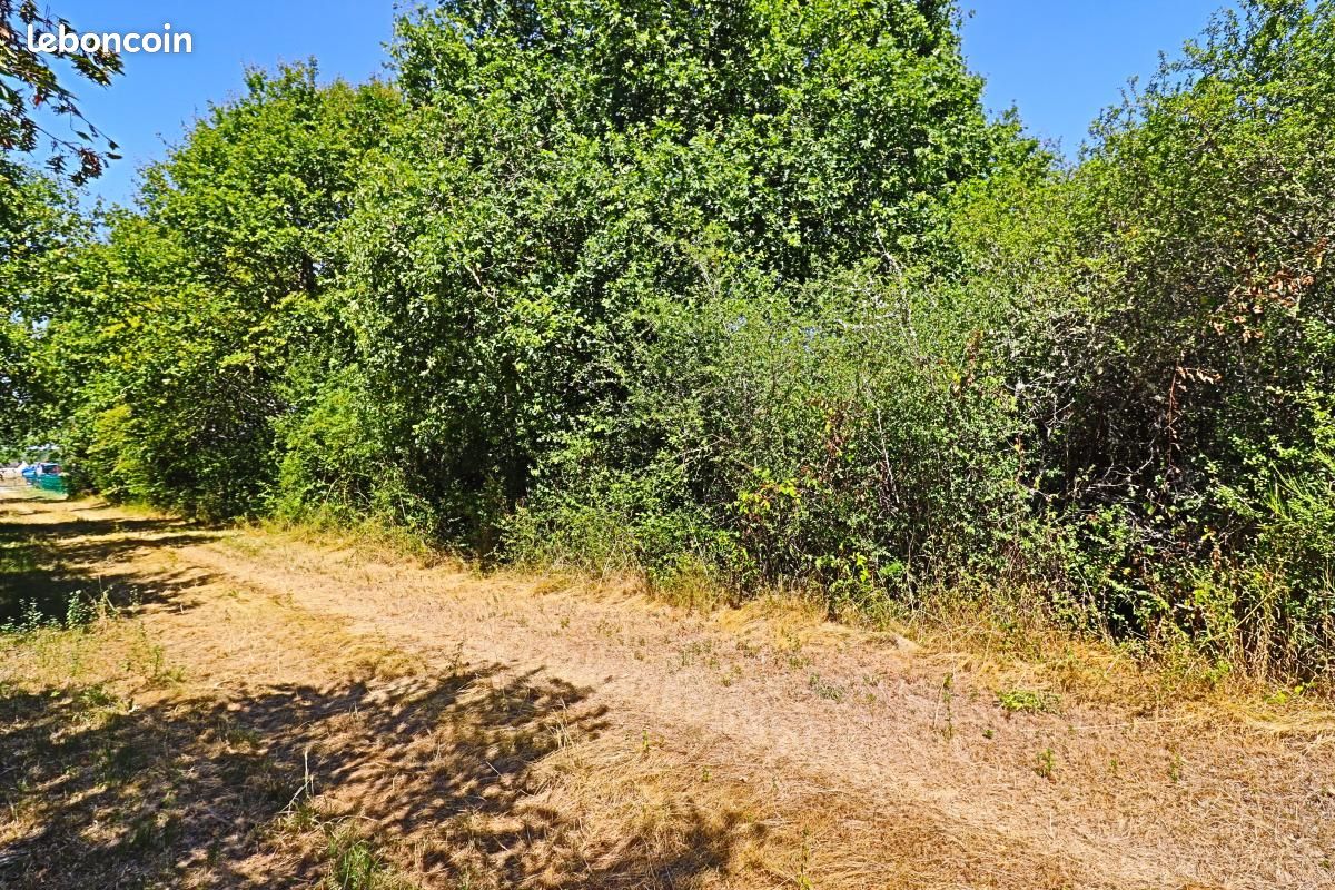 Terrain 1 500 m² Tracy Sur Loire (image 12)