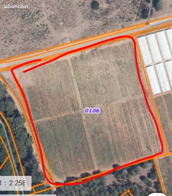 Plantation de pivoines à céder – Culture déjà en place, prête à récolter · à La Crau · 165 000 €