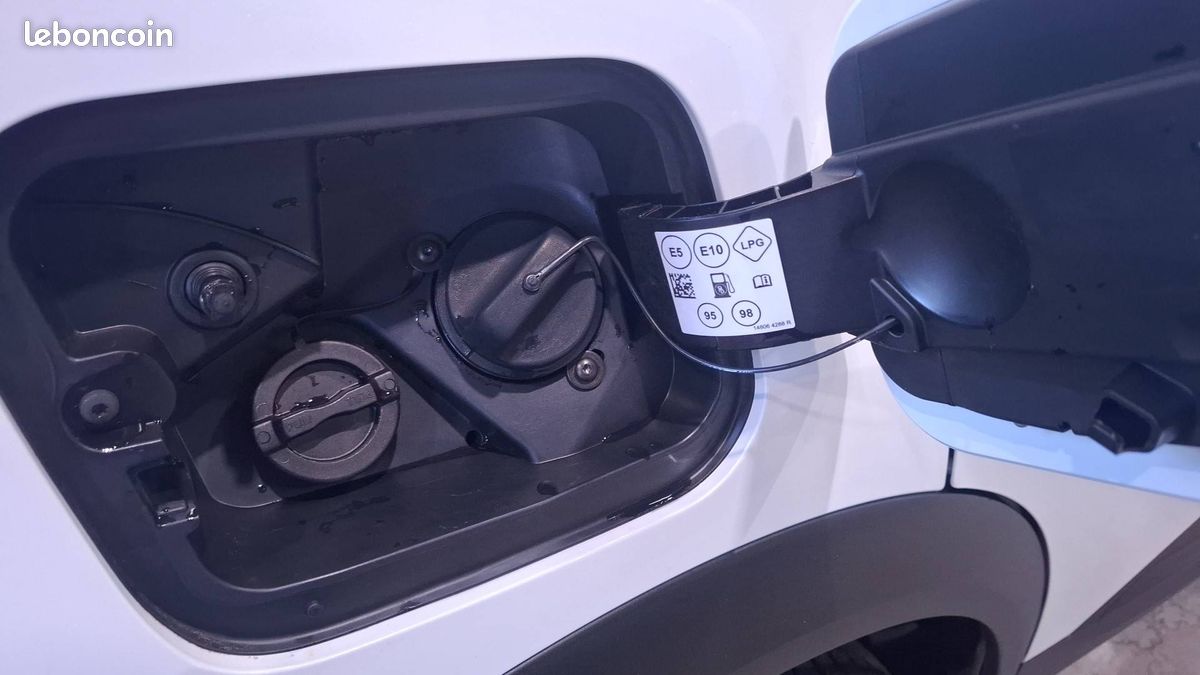 Renault captur eco g 100 ch techno (image 30)