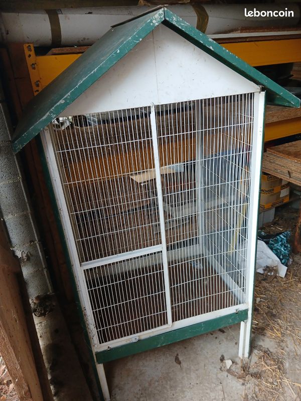 Cage oiseaux (image 1)
