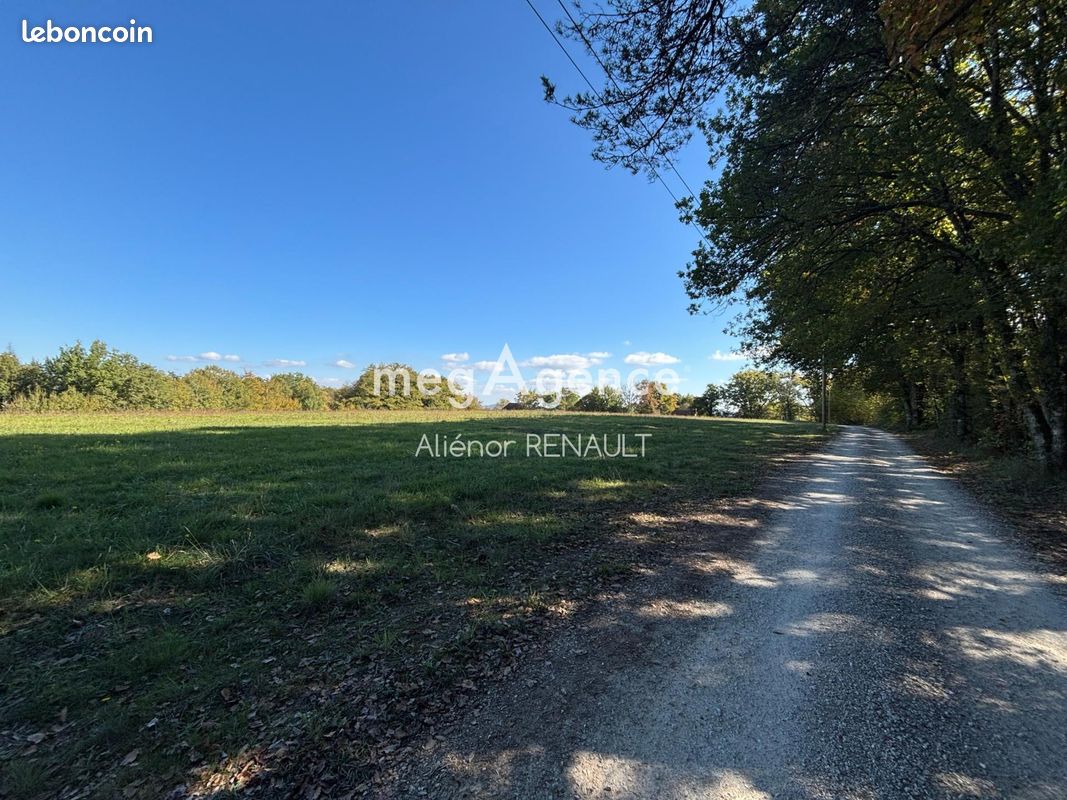 Terrain 24541 m² SAINT-LEON-SUR-VEZERE (image 5)