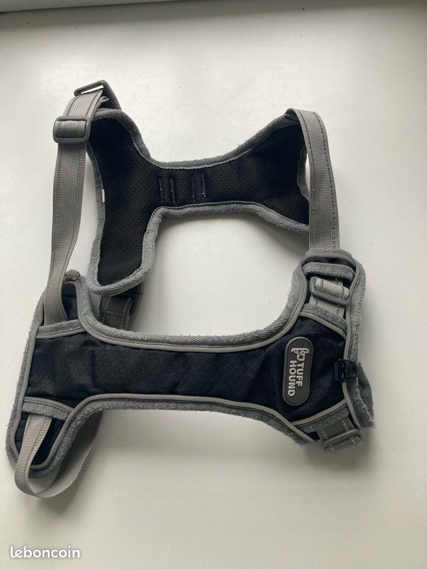 Ensemble colliers pour chien (image 2)