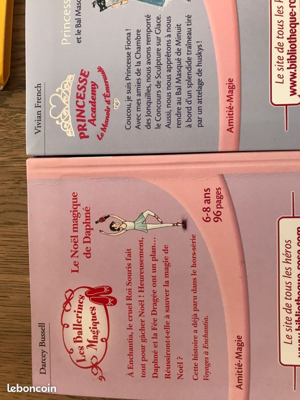 Lot de livres pour filles de princesse (image 1)