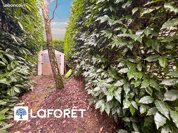 https://img.leboncoin.fr/api/v1/lbcpb1/images/36/e9/97/36e997fe2335b6c8bb5711c1b0fb980084ce5129.jpg?rule=ad-image
