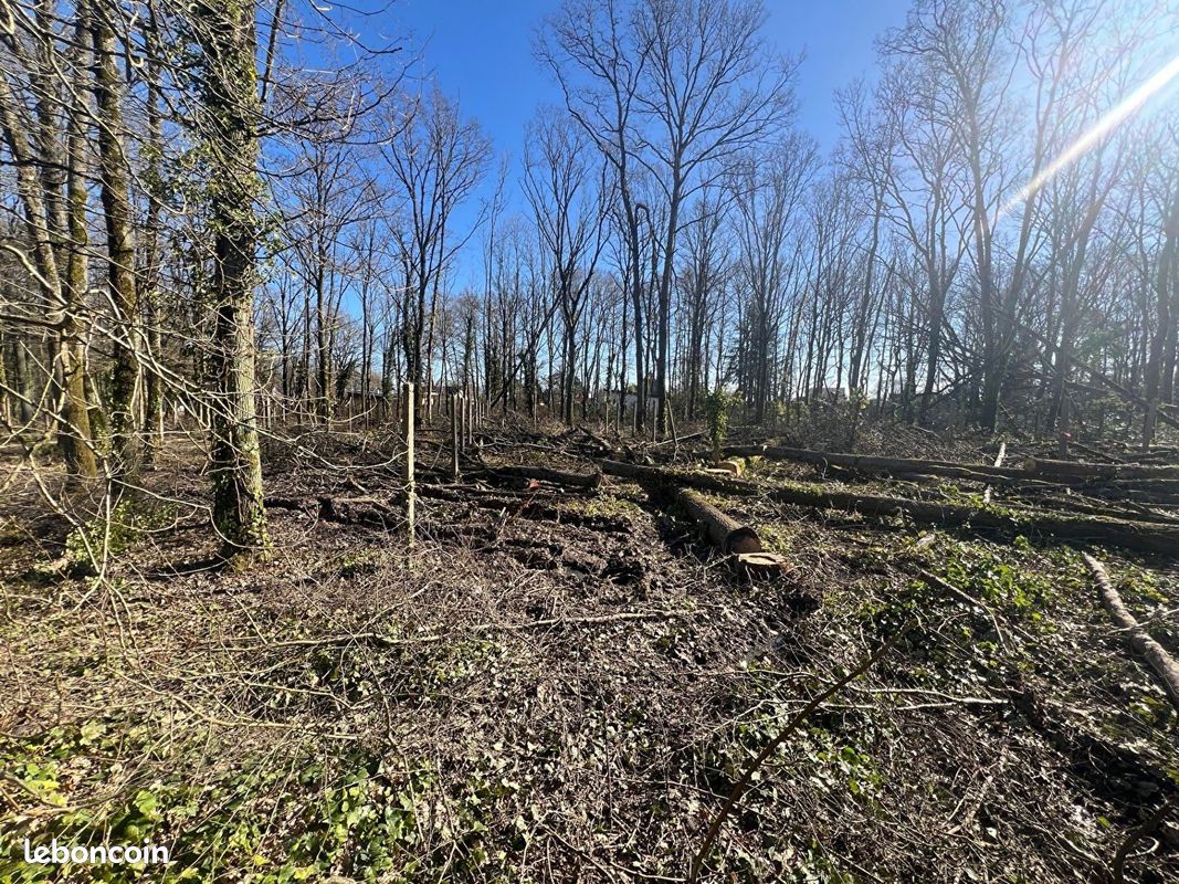 Terrain 650 m² · à Montlhéry · 650 m² · 225 000 €