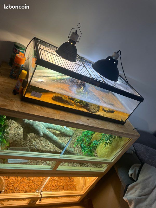 Aquaterrarium complet (image 1)